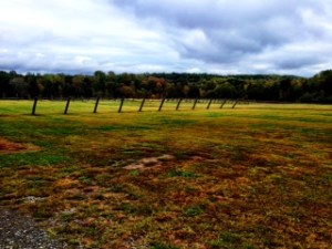 A cloudy, but still lovely day at First Colony