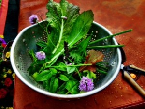 Chives and Chard and Other Things