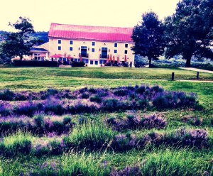 Springfield Manor Winery and Distillery, Thurmont Maryland