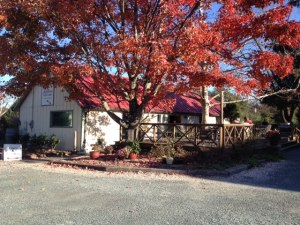 The wonderful tasting room at Jefferson Winery in Charlottesville.