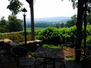 Hillsborough Winery and Vineyards near Leesburg