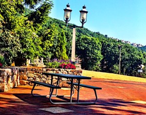 My morning tea scene at Wintergreen