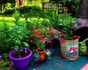 The Peppers had just begun