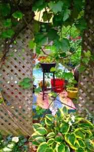 A peek into a Secret Garden