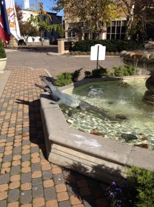In early years, the alligators in the fountains at The Jefferson in Richmond Virginia were real