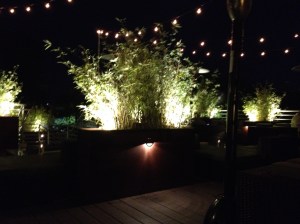 This is the rooftop bar at Local 11 Ten. You can't see much, but you get the idea.