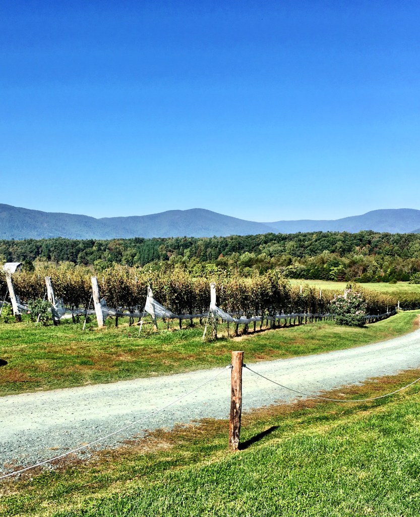 20161016_171657222_ios