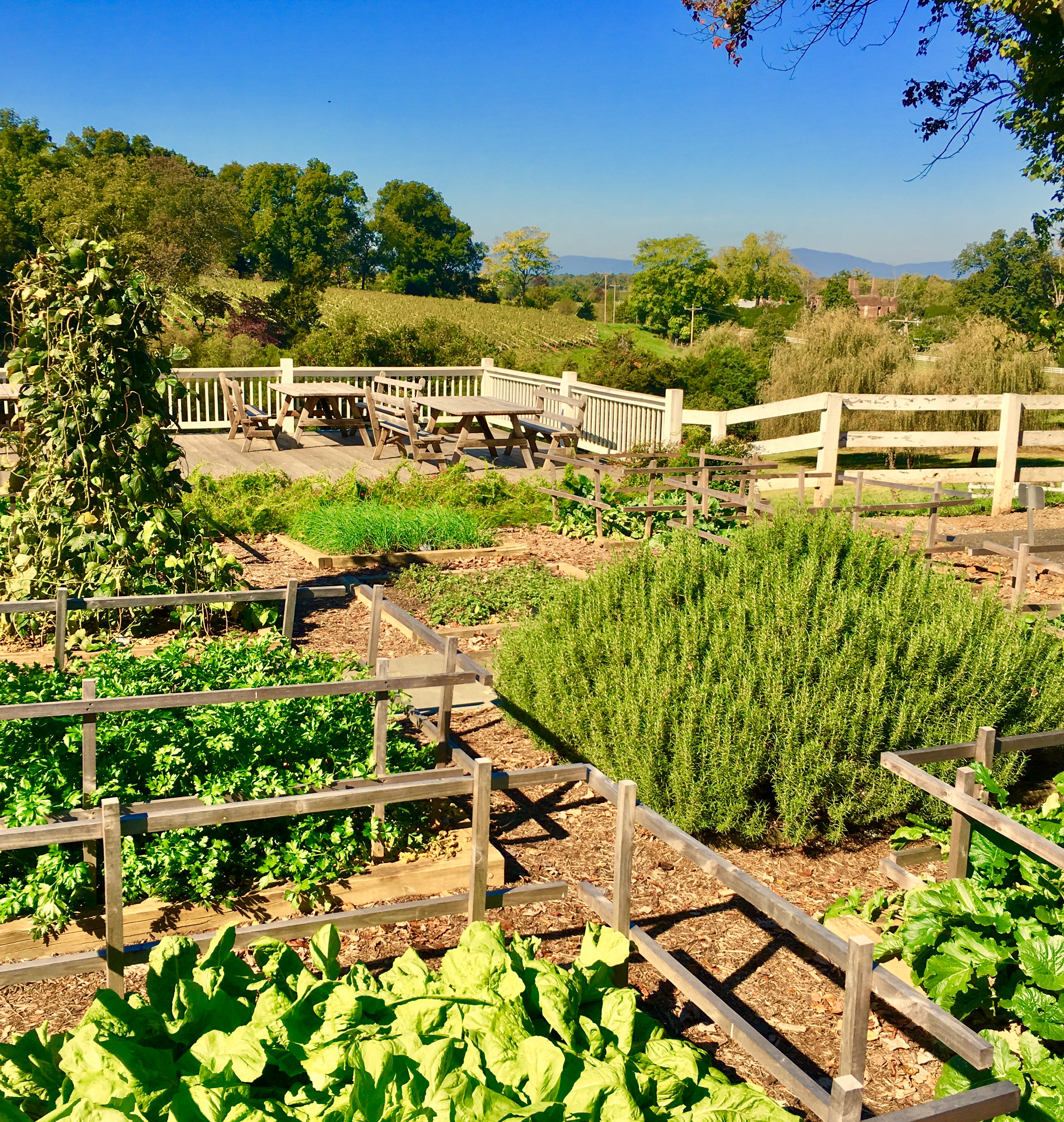 20161018_154008152_ios