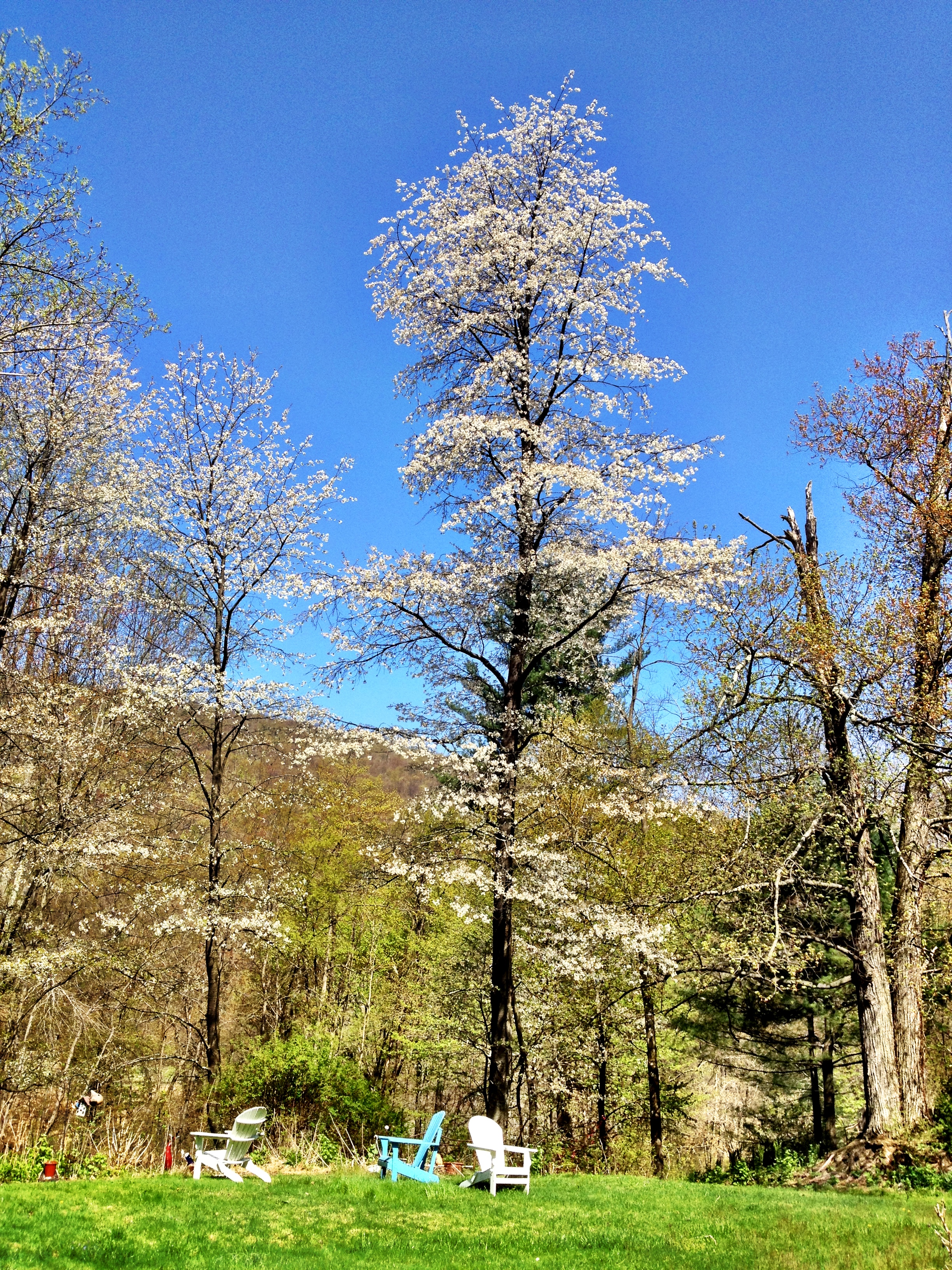 20130426_151722000_ios